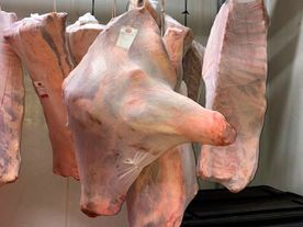Carnicas Butrón partes del cerdo